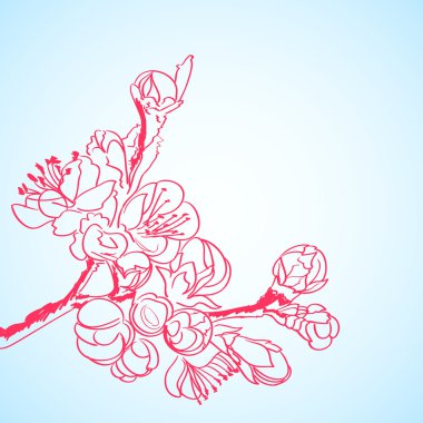 arka çiçekli kırmızı sakura