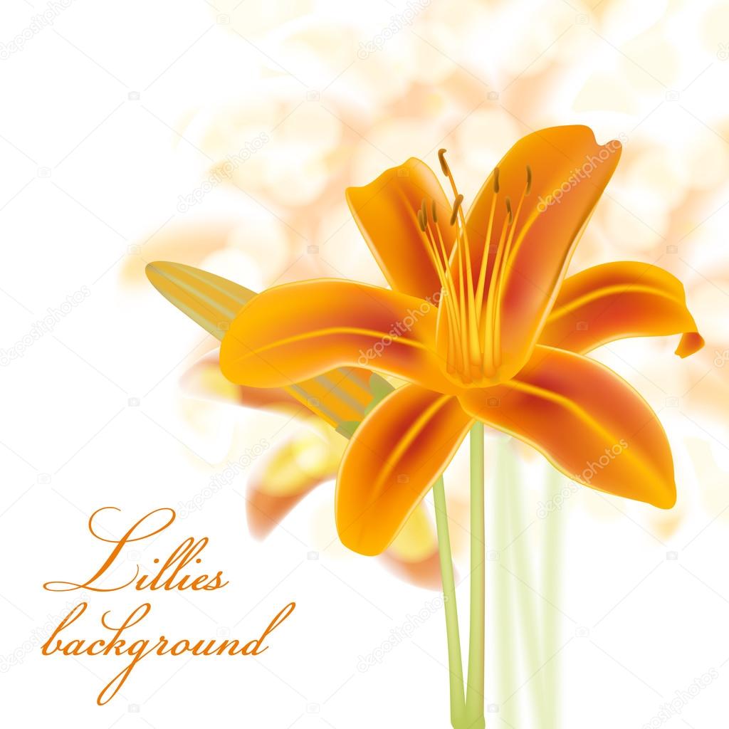 realistic lillies background