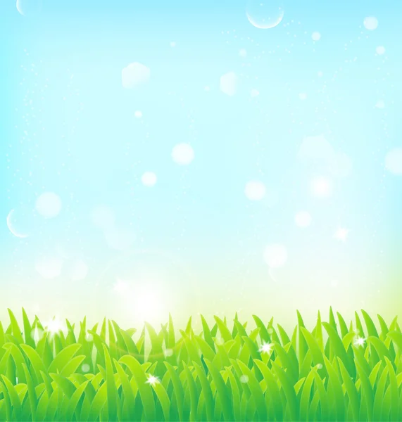 Fondo de primavera con efectos de hierba y luz — Vector de stock