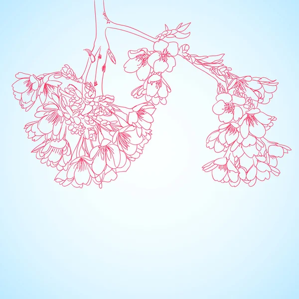 Sfondo blu con fiori di sakura rosso — Vettoriale Stock
