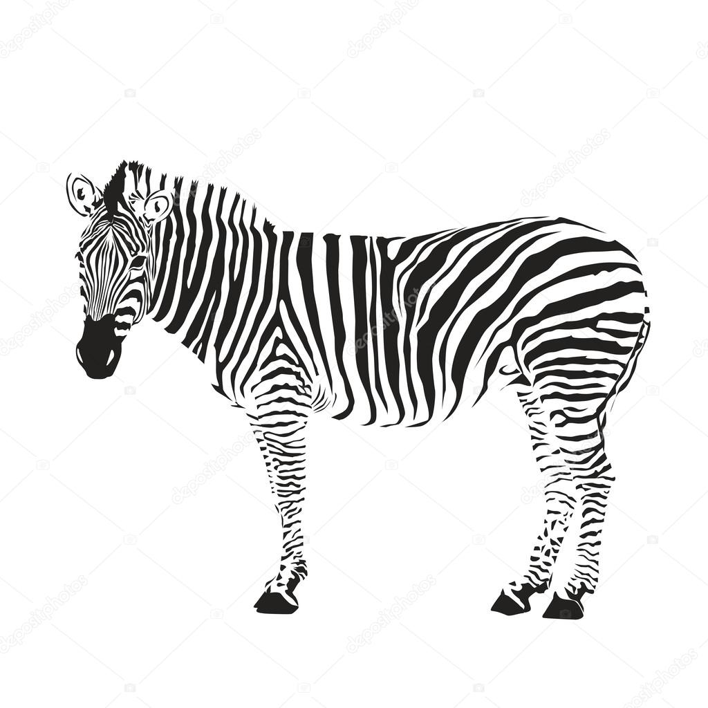 zebra silhouette