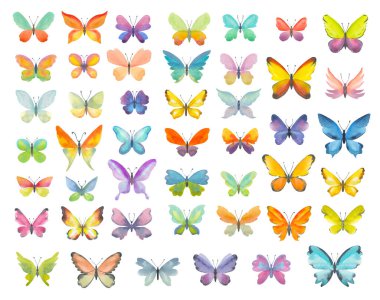 Bir dizi suluboya kelebek. Beyaz arka planda izole edilmiş renkli kelebeklerin el çizimi