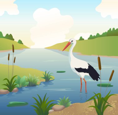 Sığ sularda yüzen ve yiyecek arayan beyaz leylekler, sazlıklar ve diğer su bitkileriyle dolu bir nehir veya göl. Doğal manzara çiziminde kuş