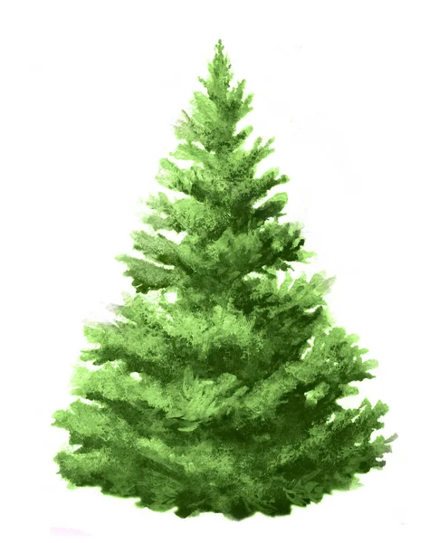 Illustration Aquarelle Arbre Vert Épinette Sur Blanc Peinture Main Sapin — Photo