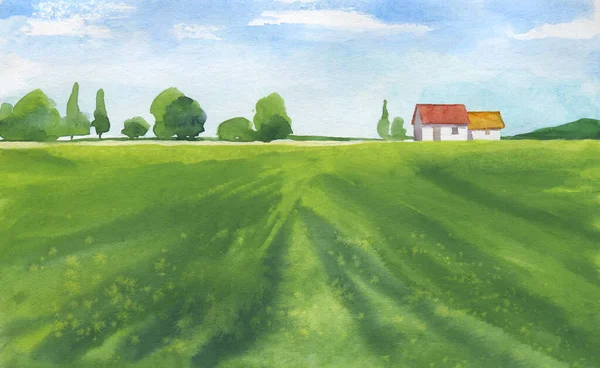 Organic Farms Watercolor Illustration Poleravy Sky Vector Landscape Nature — Stock Photo, Image