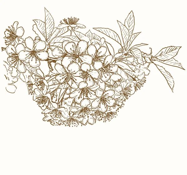 Cherry Blossom Flowers Hand Drawn Line Art Illustration Vector Drawing — Διανυσματικό Αρχείο
