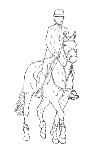 Outline Drawing Young Female Riding Horse Equestrian Sports Theme Hand —  Vetores de Stock