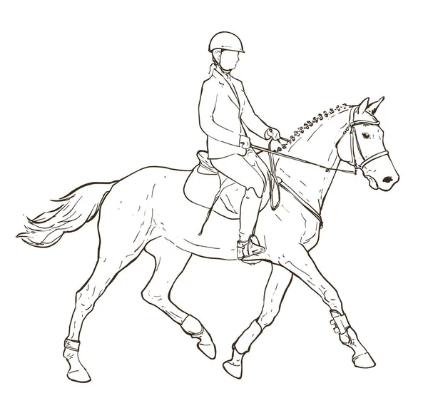 马背上骑手的轮廓画在白色上 手绘在马术的主题上 马和年轻女子的草图 — 图库矢量图片