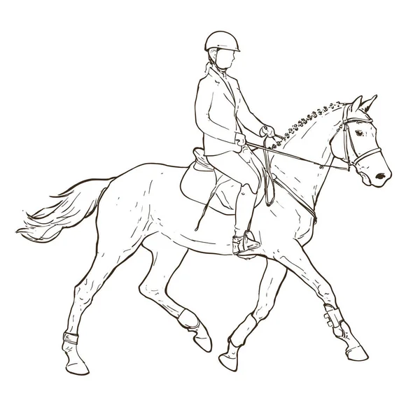 Esquema Del Jinete Caballo Dibujado Blanco Ilustración Dibujada Mano Sobre — Vector de stock