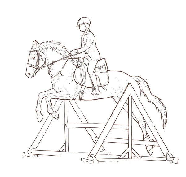 Mujer Joven Montar Caballo Entrenamiento Ilustración Dibujada Mano Caballo Saltando — Vector de stock