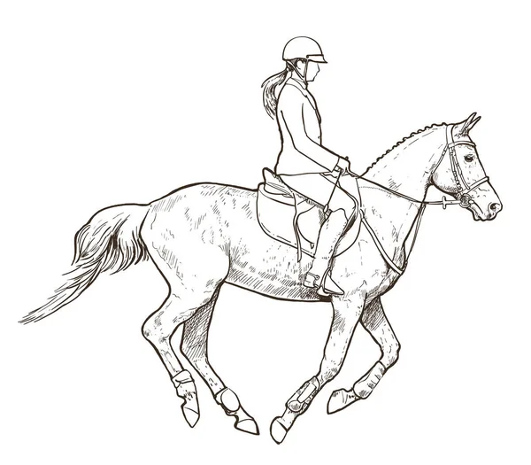 Horse Sports Illustration Young Female Riding Galloping Horse Hand Drawn — ストックベクタ