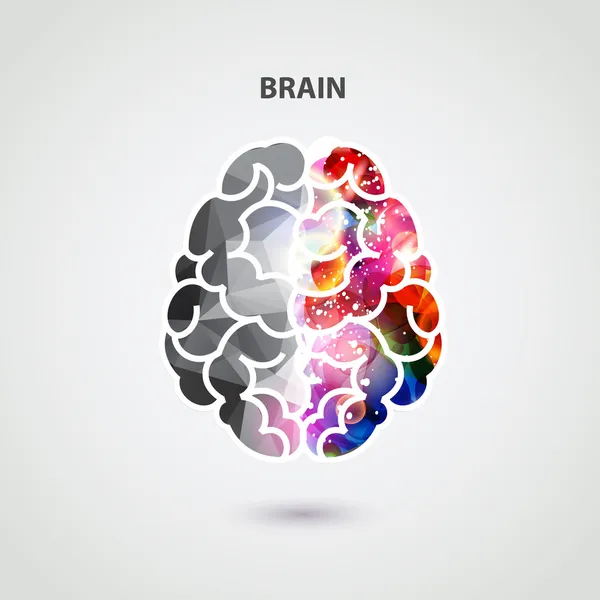 Parte izquierda y derecha del cerebro — Vector de stock