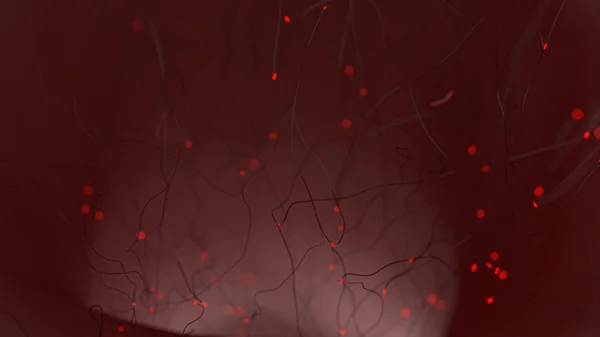 Begreppet nervceller och nervsystemet Stockfoto
