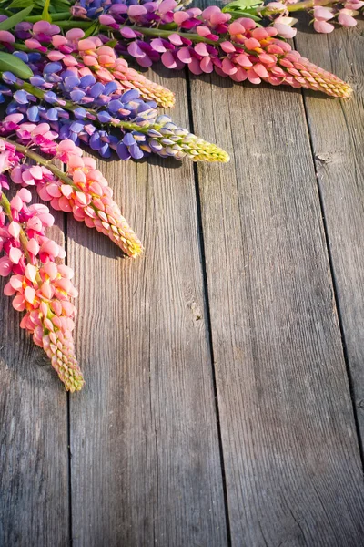 Bellissimi lupini su sfondo di legno — Foto Stock