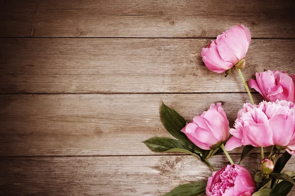 Розовый пион на деревянном фоне — стоковое фото