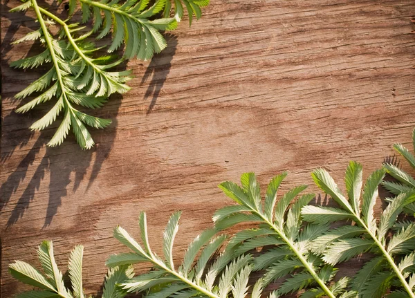 Листья на старом деревянном фоне — стоковое фото