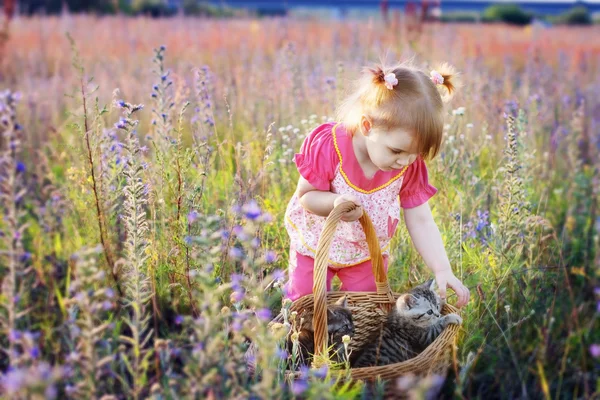 Menina e gatinho — Fotografia de Stock