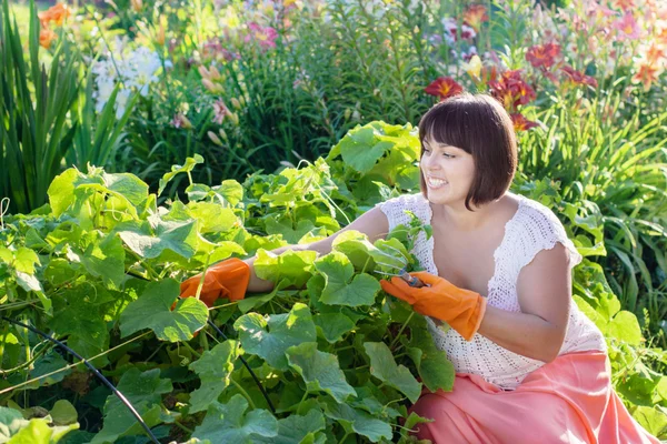 Lächelnde Frauen im Garten — Stockfoto