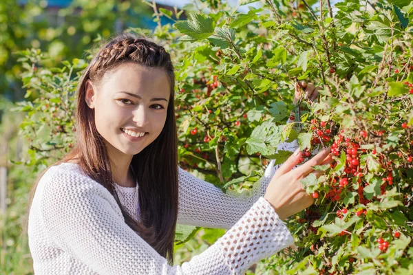 Menina bonita com bagas vermelhas no jardim — Fotografia de Stock