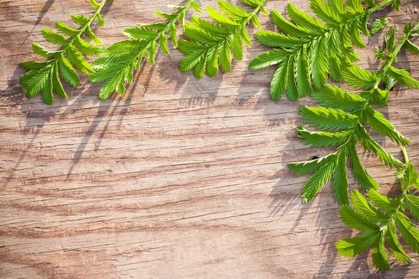 Leaves on the old wooden background — Stock Photo, Image