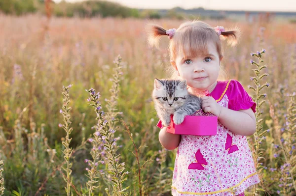 Dívka a kotě — Stock fotografie