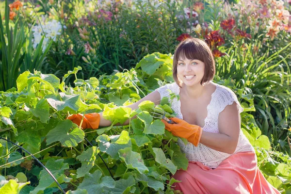 Mujer plantando en un jardín — Foto de Stock