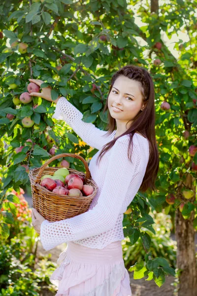사과 한 바구니를 들고 있는 소녀 — 스톡 사진