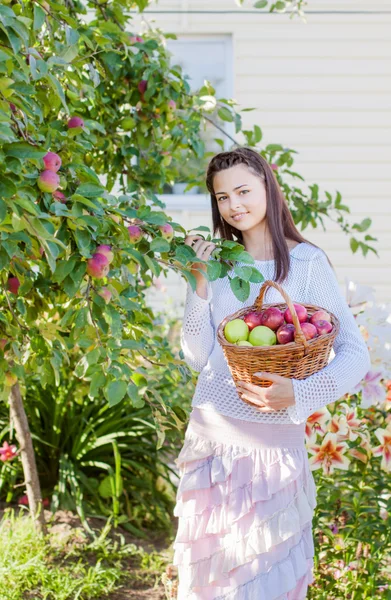 Mädchen mit einem Korb voller Äpfel — Stockfoto