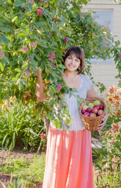 Mädchen mit einem Korb voller Äpfel — Stockfoto