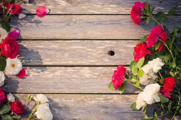 Red rose on wooden background — Stock Photo, Image