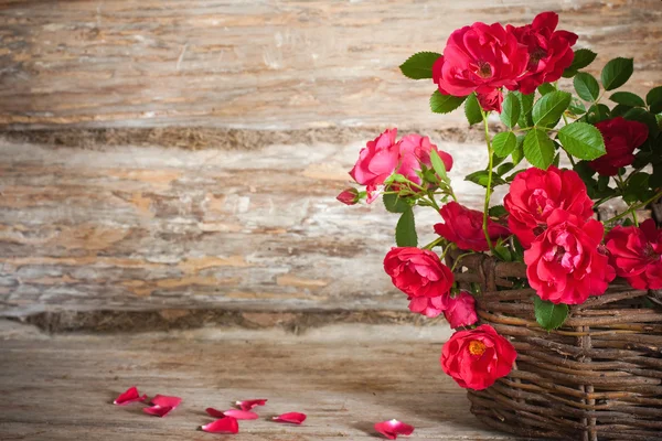 Rosa roja sobre fondo de madera — Foto de Stock