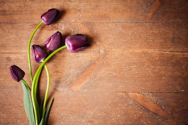 Tulips on wooden background — Stock Photo, Image