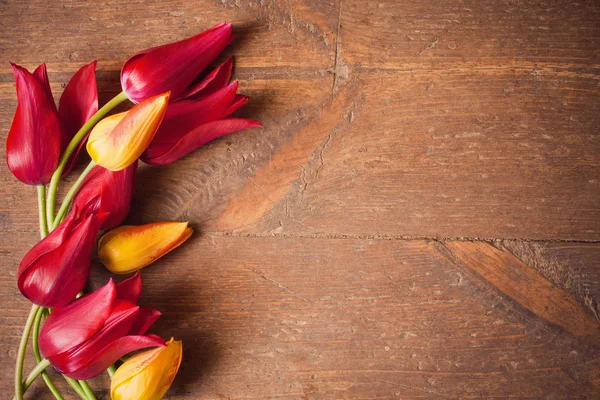 Tulips on wooden background — Stock Photo, Image