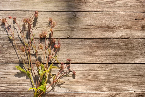 Flores sobre fondo de madera —  Fotos de Stock