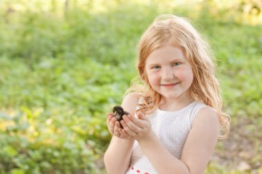 küçük tavuk ile güzel kız