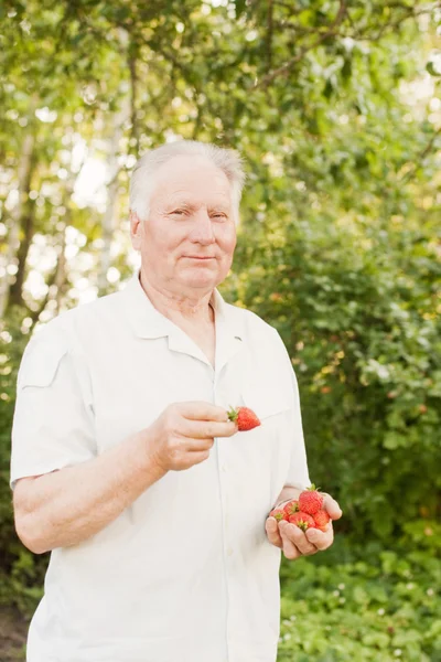 Uomo anziano con fragola — Foto Stock