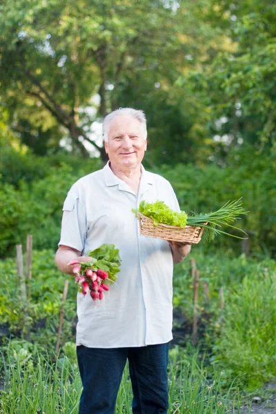 Oude mannen in tuin — Stockfoto