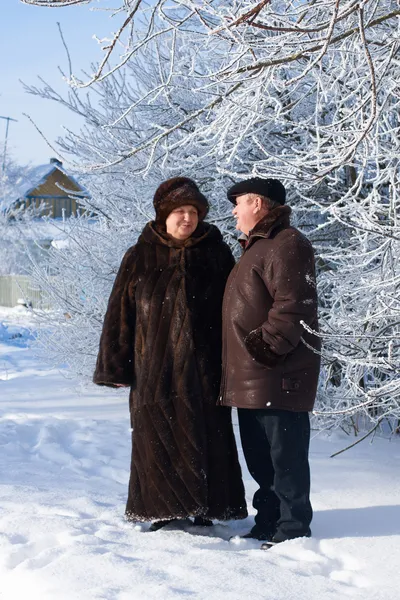 Starší pár v zimě parku — Stock fotografie