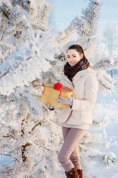 Девушка с подарком в зимнем парке — стоковое фото