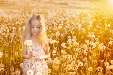 dandelions ile küçük kız