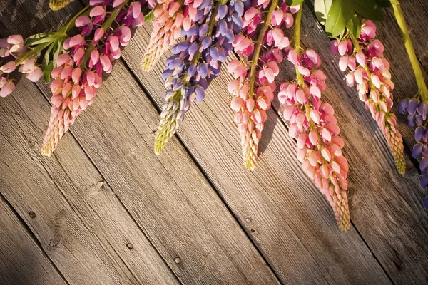 Beautiful lupines on wooden background — Stock Photo, Image