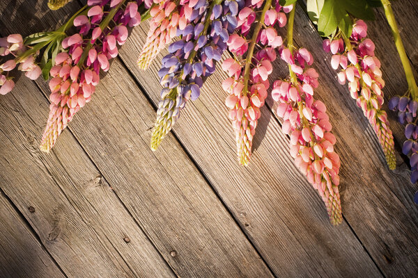 beautiful lupines on wooden background