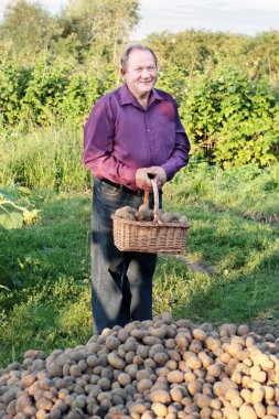 İhtiyarlar patates ile