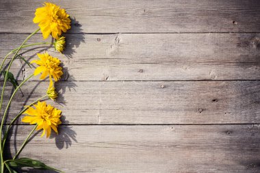 Ahşap arkaplanda çiçekler