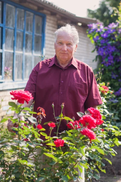 Alte Männer mit Rose im Garten — Stockfoto