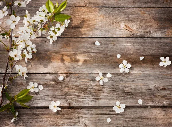 Lente bloemen op houten achtergrond Stockfoto