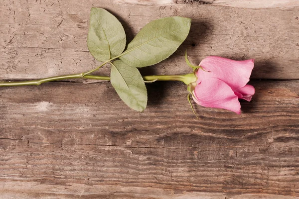 Blommor på trä bakgrund — Stockfoto