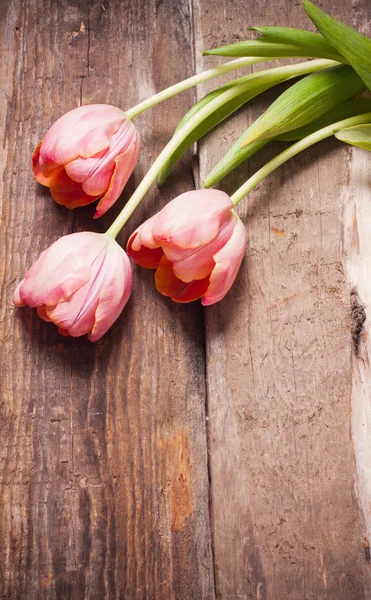 Flowers on wooden background — Stock Photo, Image