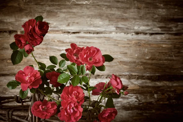 Rosas em fundo de madeira — Fotografia de Stock