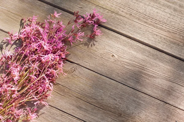 Flores sobre fondo de madera —  Fotos de Stock